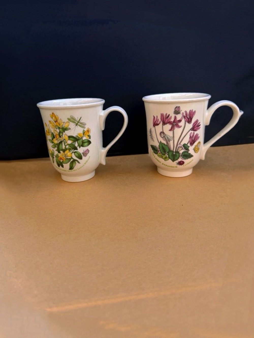 Portmeirion Botanic Garden 14oz Flared Tankard Mugs Set of 2 - Cyclamen & Polyga